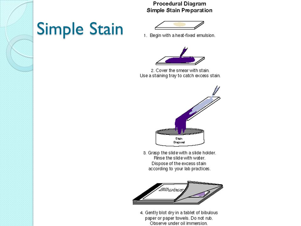 What is the advantage of the gram stain over a simple stain such as